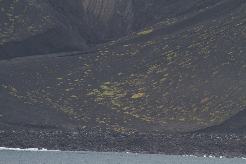 スルツェイ火山島の画像13