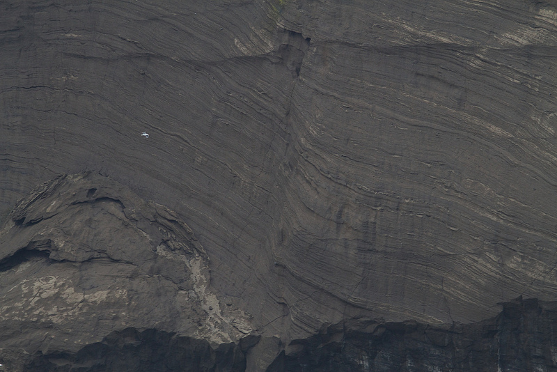 スルツェイ火山島の画像17
