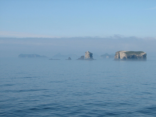 スルツェイ火山島の画像22