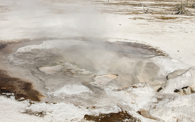 イエローストーン国立公園の画像23