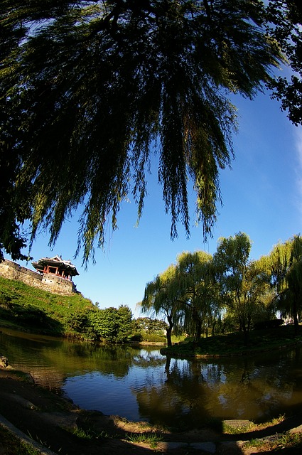 独立記念館の画像9