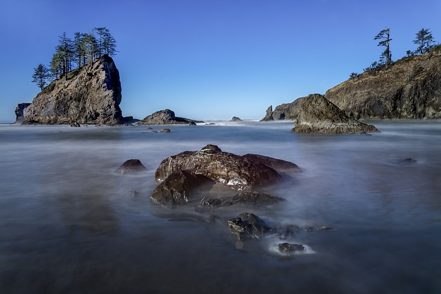 オリンピック国立公園の画像5
