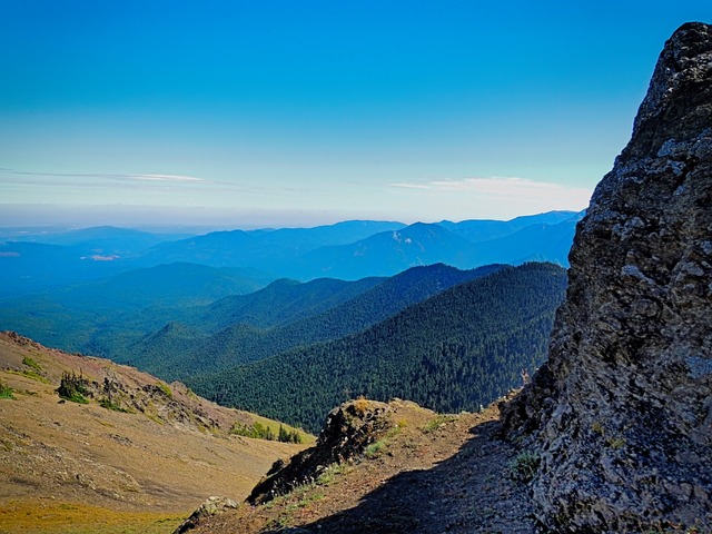 オリンピック国立公園の画像13