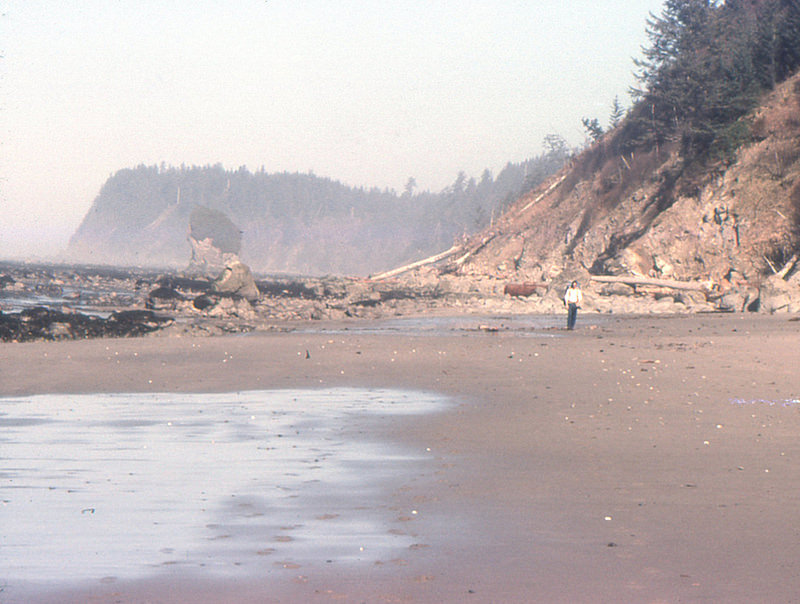 オリンピック国立公園の画像21