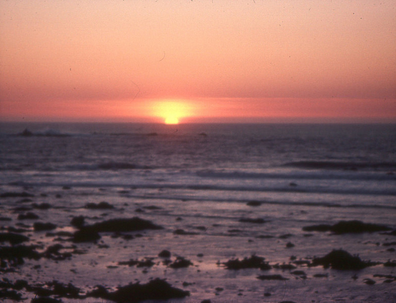 オリンピック国立公園の画像22