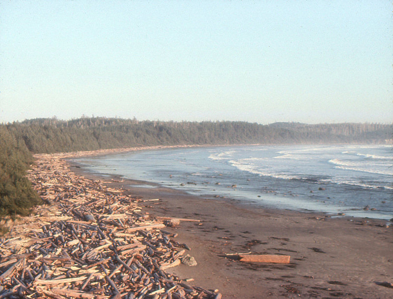 オリンピック国立公園の画像23