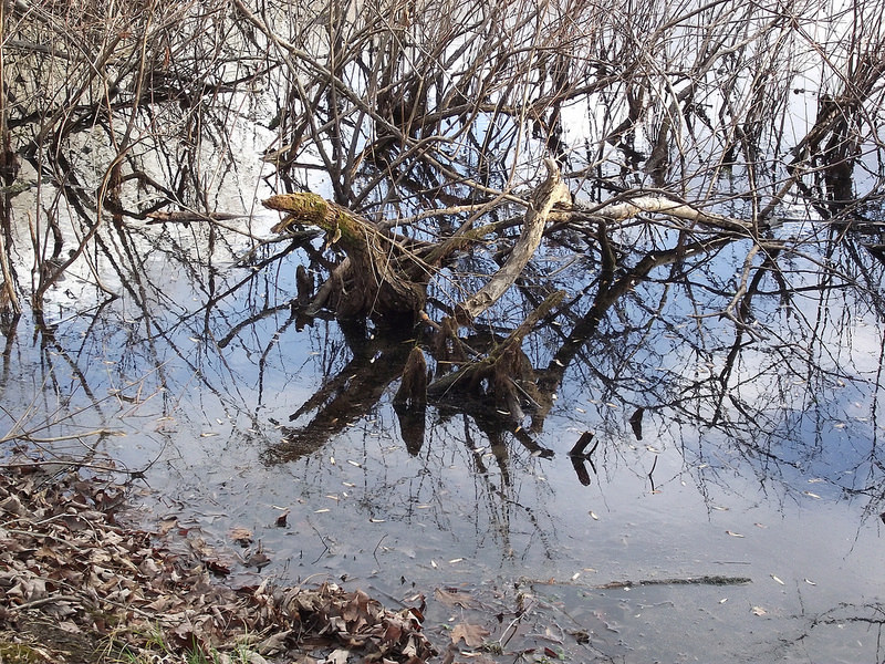 マンモス・ケーヴ国立公園の画像10