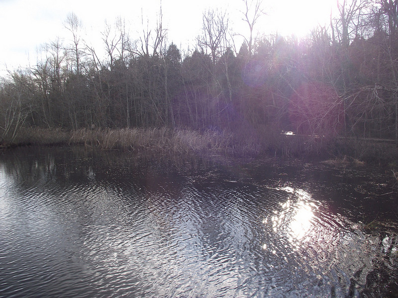 マンモス・ケーヴ国立公園の画像11