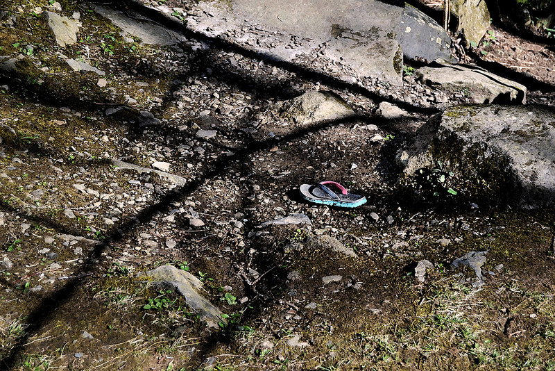 グレート・スモーキー山脈国立公園の画像14