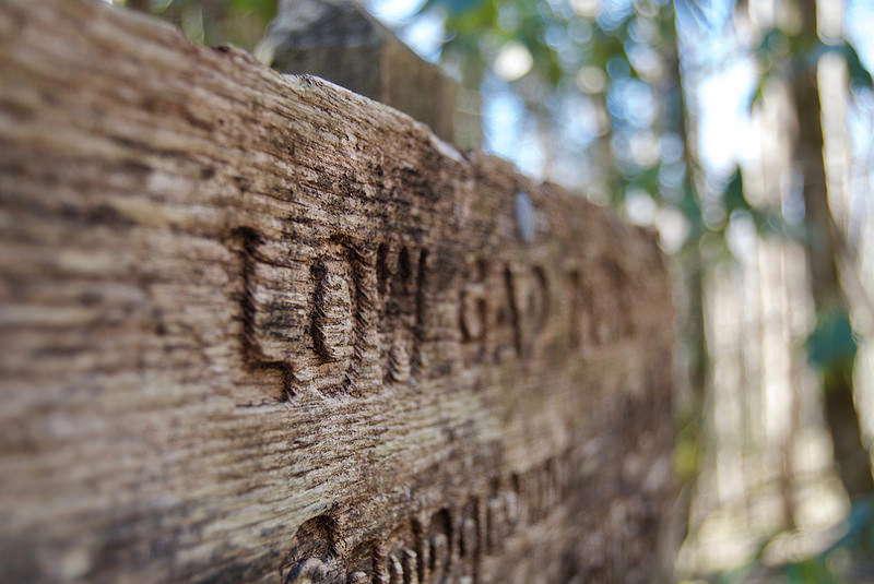 グレート・スモーキー山脈国立公園の画像18