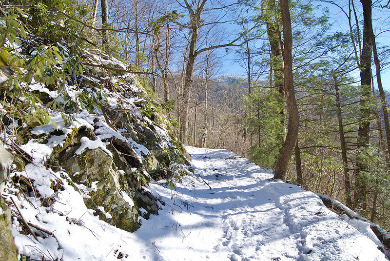 グレート・スモーキー山脈国立公園の画像20