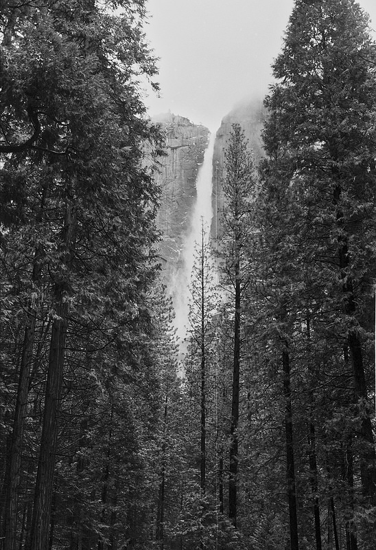 ヨセミテ国立公園の画像20