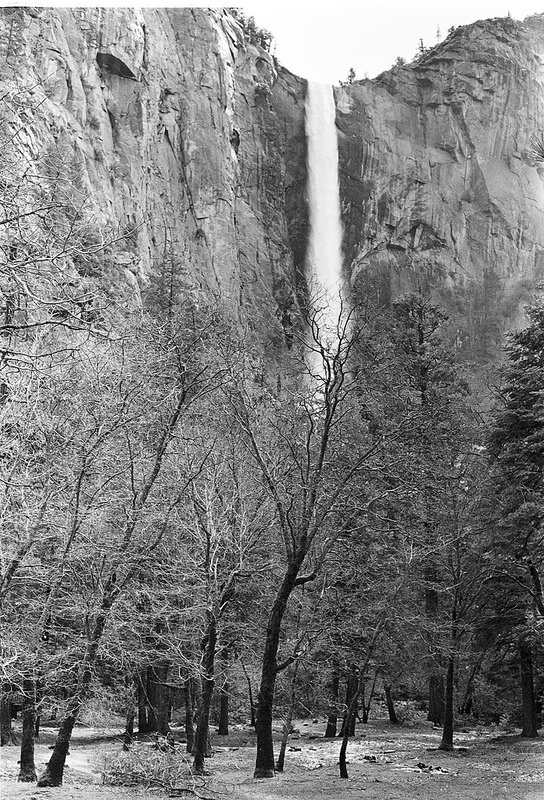 ヨセミテ国立公園の画像21