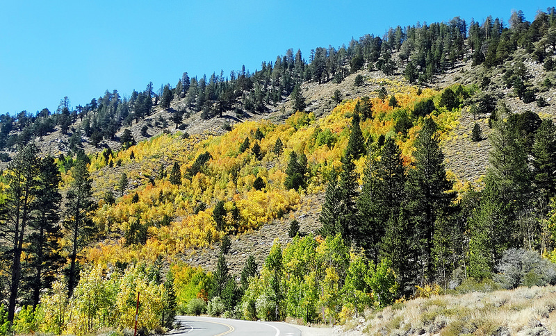 ヨセミテ国立公園の画像22