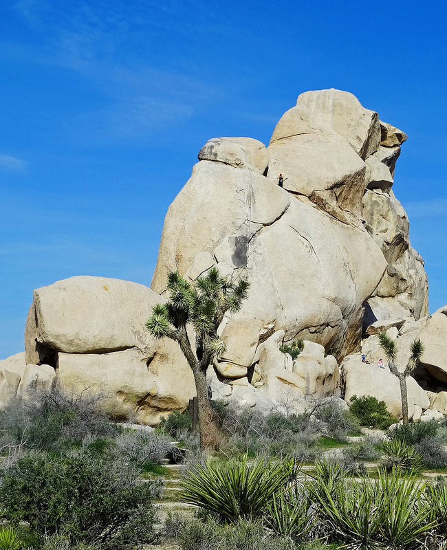 ヨセミテ国立公園の画像23