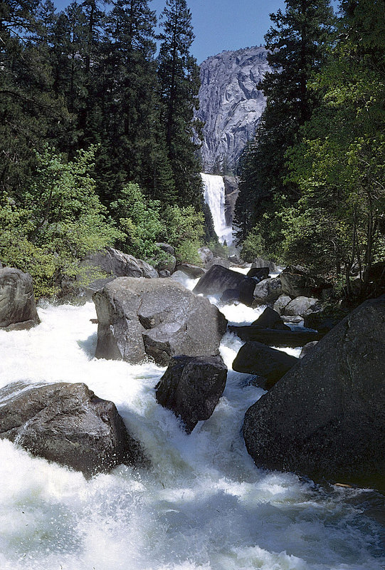 ヨセミテ国立公園の画像25