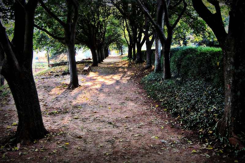 シャーロットヴィルのモンティセロとヴァージニア大学の画像3