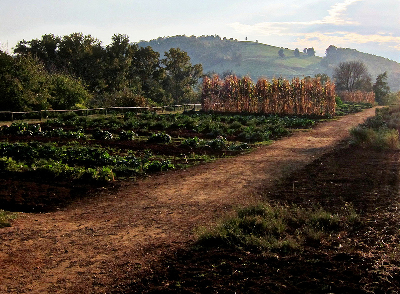 シャーロットヴィルのモンティセロとヴァージニア大学の画像6