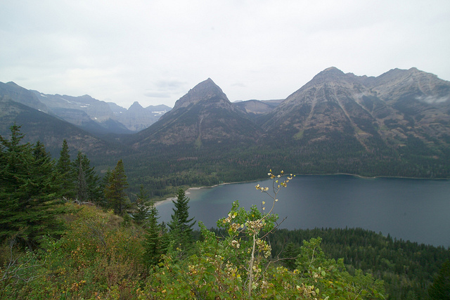 ウォータートン・グレーシャー国際平和自然公園の画像4