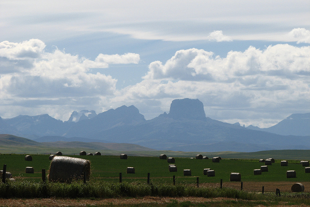 ウォータートン・グレーシャー国際平和自然公園の画像17
