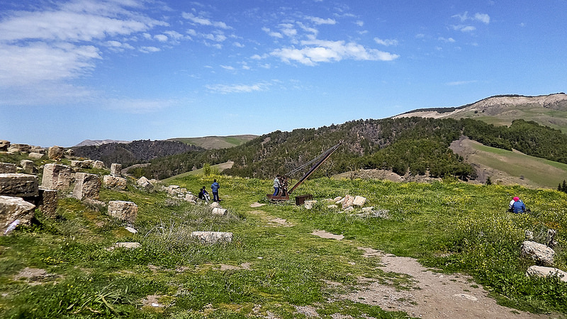 ジェミラの画像8