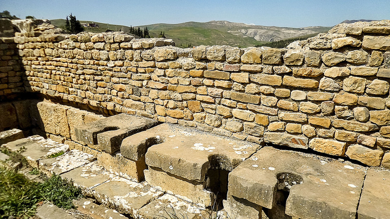 ジェミラの画像10