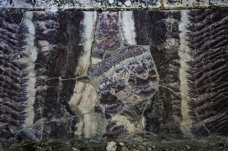 ジェミラの画像16