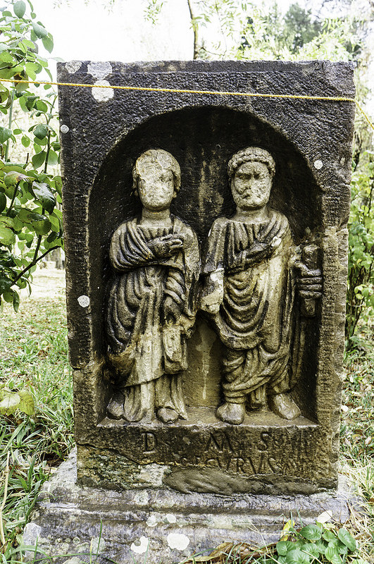 ジェミラの画像19