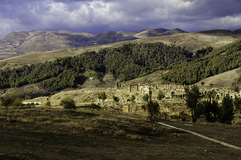 ジェミラの画像22