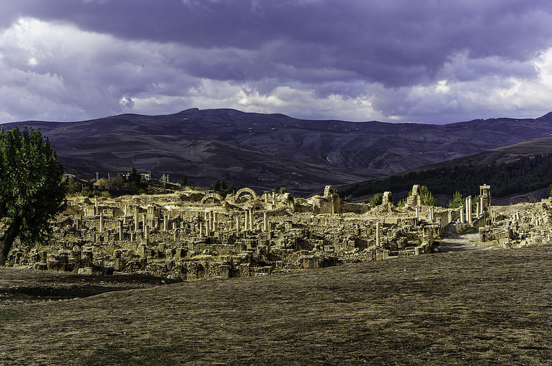 ジェミラの画像23