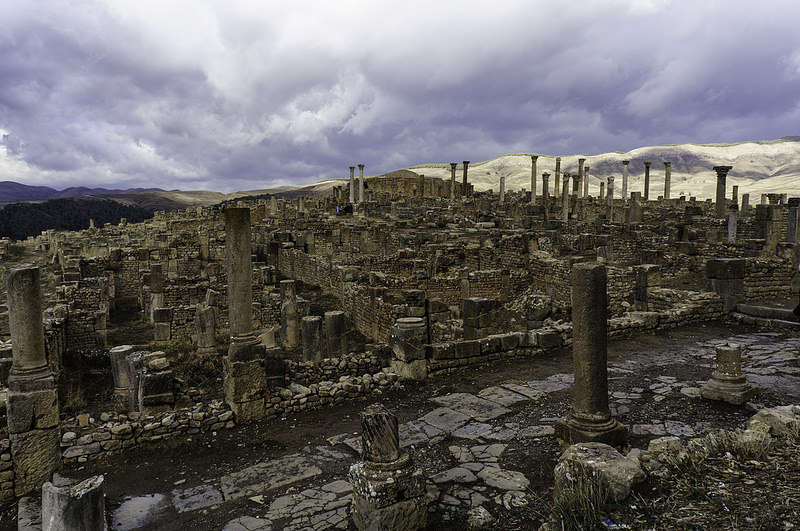 ジェミラの画像24