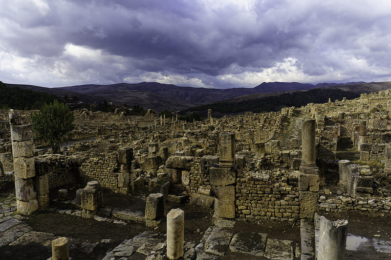 ジェミラの画像25