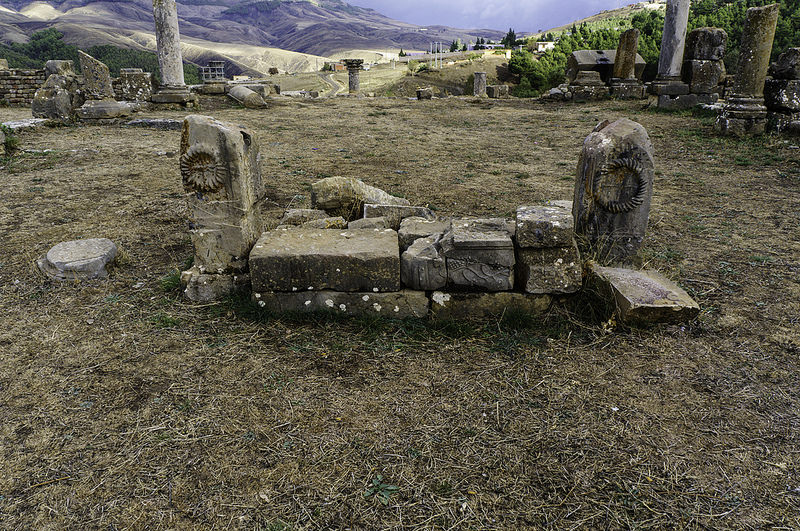 ジェミラの画像26