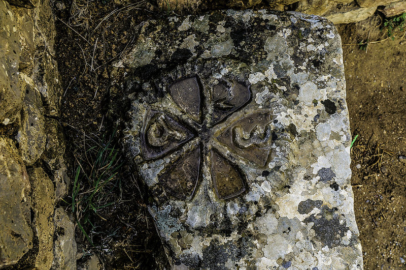 ジェミラの画像29