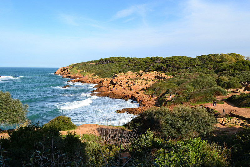 ティパサの考古遺跡の画像7