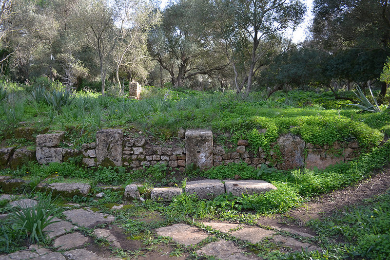 ティパサの考古遺跡の画像16