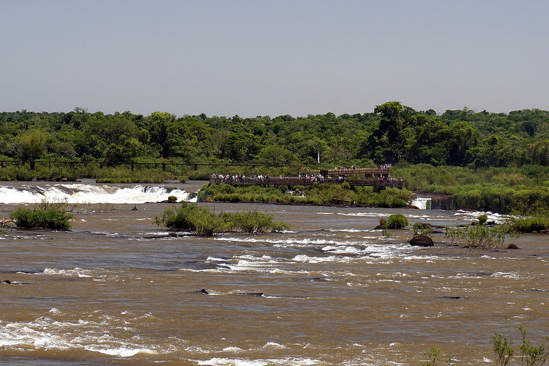 イグアス国立公園の画像15