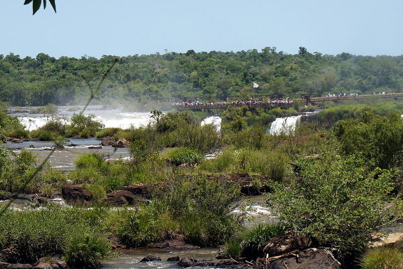 イグアス国立公園の画像20