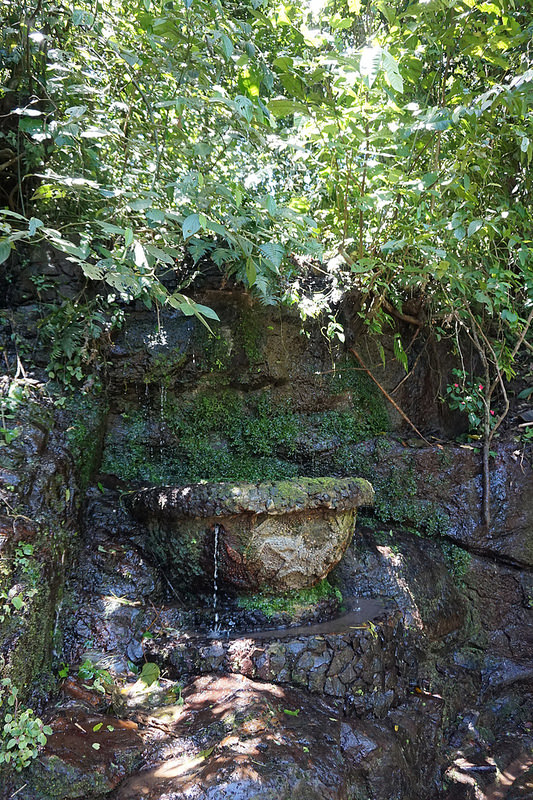 イグアス国立公園の画像25