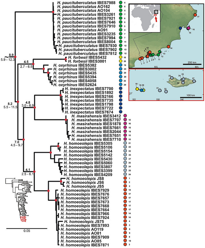 ソコトラ諸島の画像3