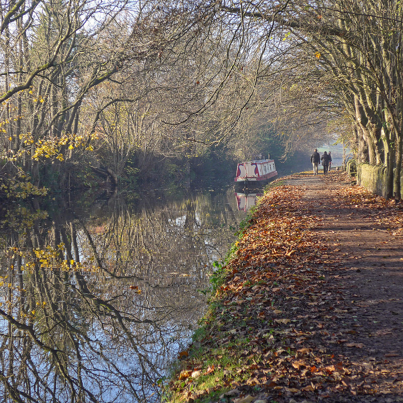 ソルテアの画像10