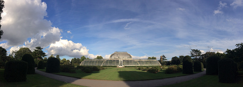 キュー王立植物園の画像4