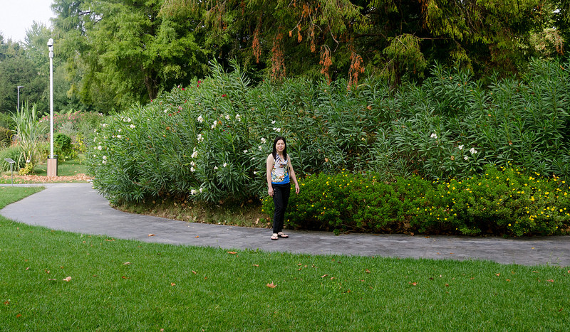 パドヴァの植物園（オルト・ボタニコ）の画像10