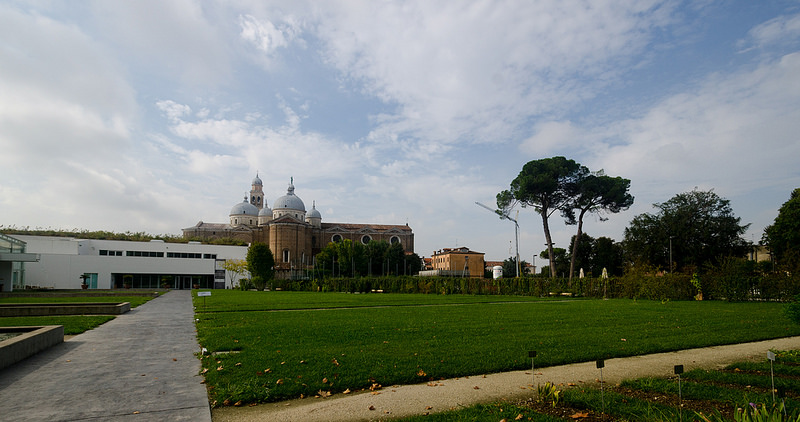 パドヴァの植物園（オルト・ボタニコ）の画像11