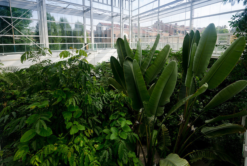 パドヴァの植物園（オルト・ボタニコ）の画像19