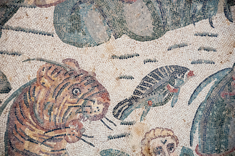 ヴィッラ・ロマーナ・デル・カサーレの画像6