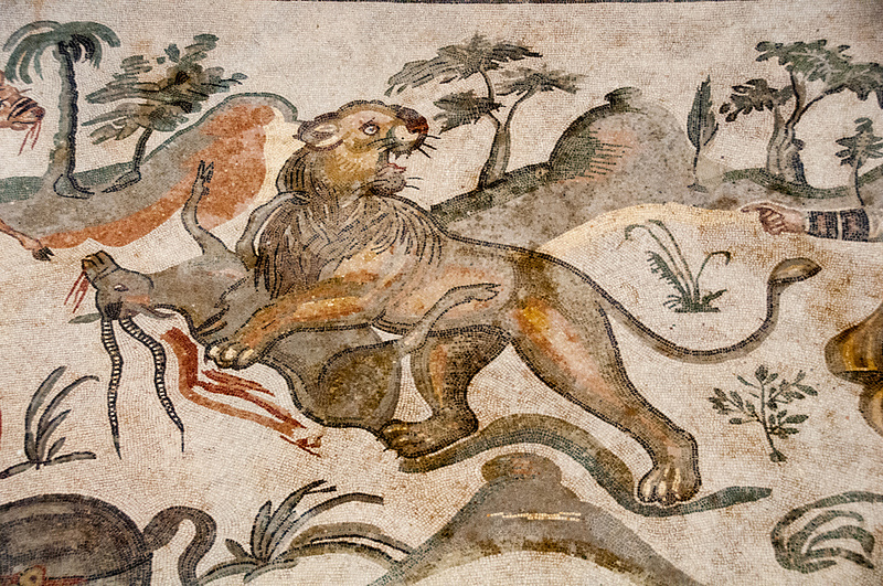 ヴィッラ・ロマーナ・デル・カサーレの画像11