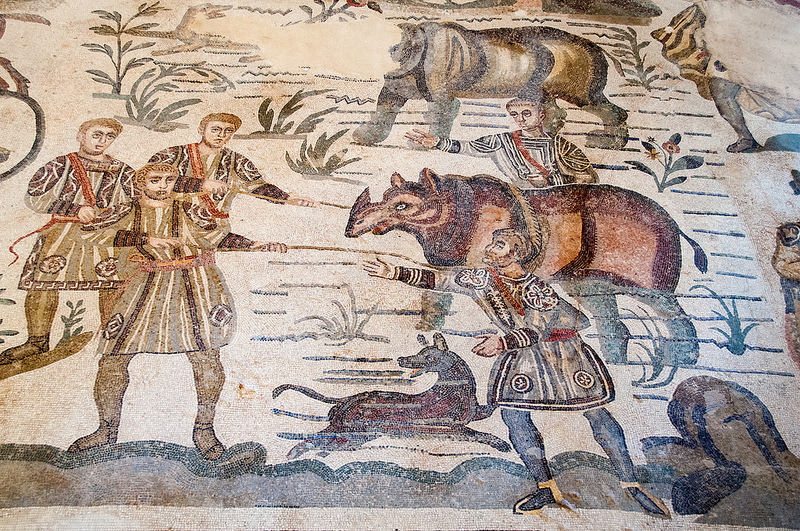 ヴィッラ・ロマーナ・デル・カサーレの画像17