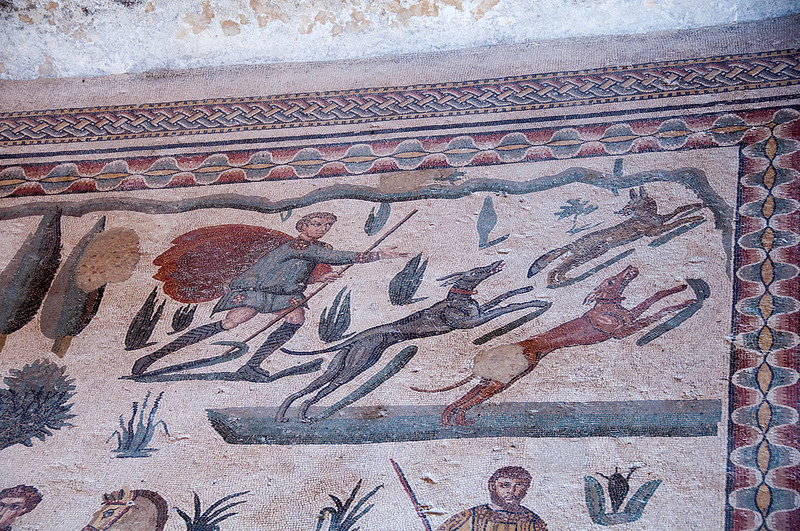 ヴィッラ・ロマーナ・デル・カサーレの画像18