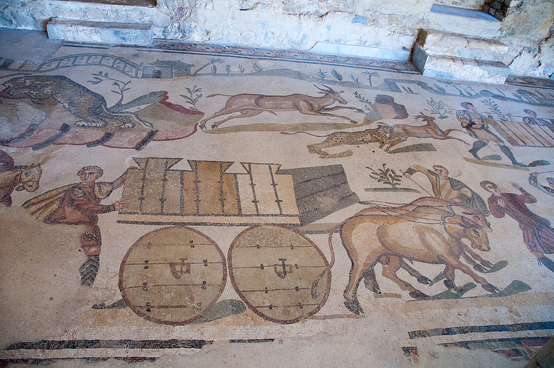 ヴィッラ・ロマーナ・デル・カサーレの画像19